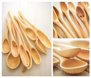 NaturalSpoon_comission001_2014