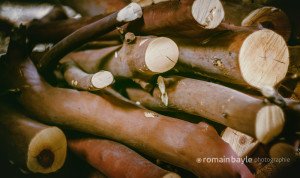 naturalspoon_wood_arbutus