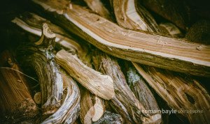 naturalspoon_wood_juniper