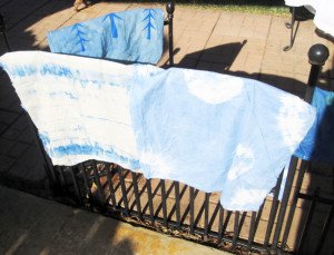 IMG_8637